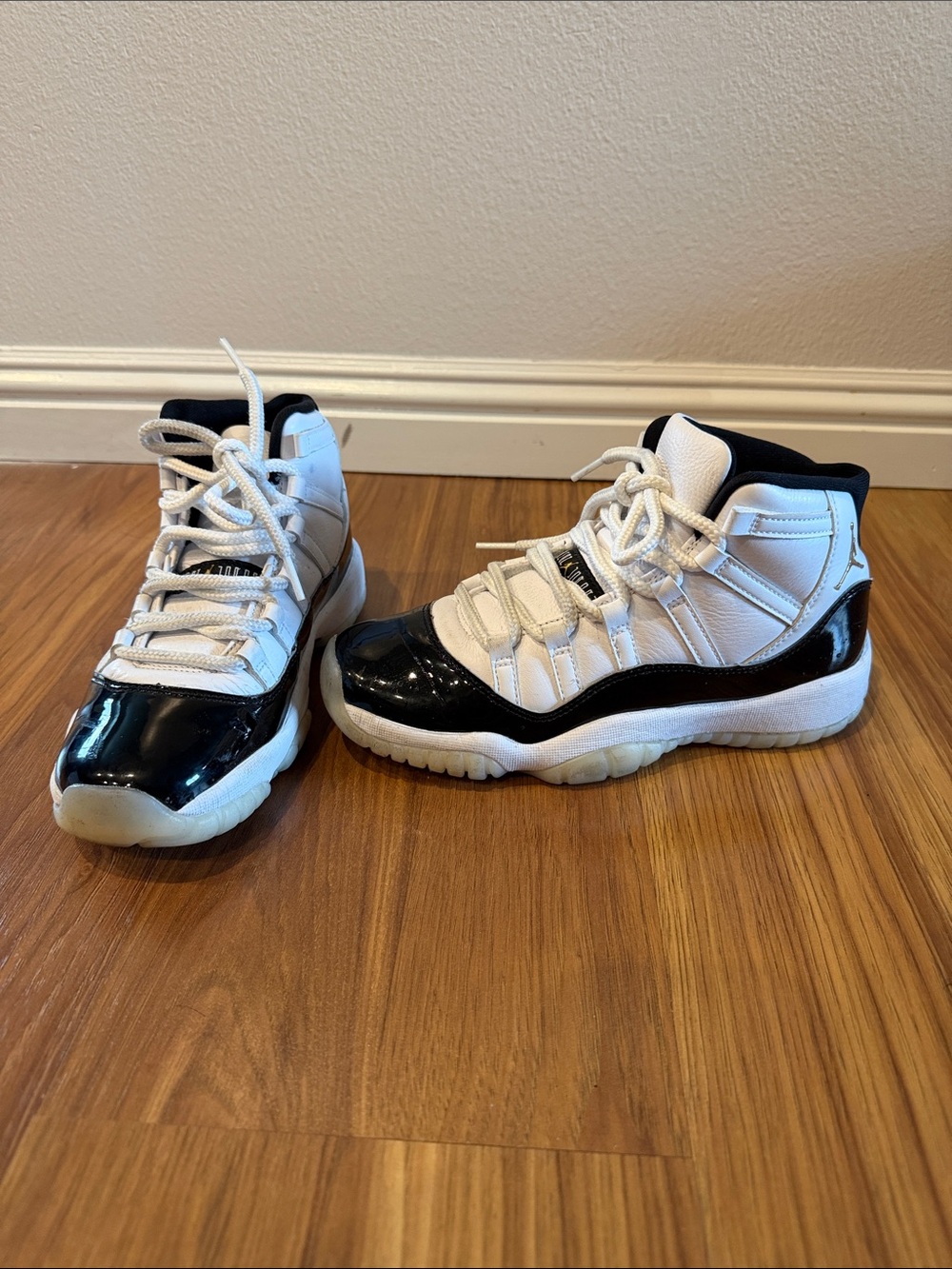 Air Jordan 11 Retro Concord Gratitude